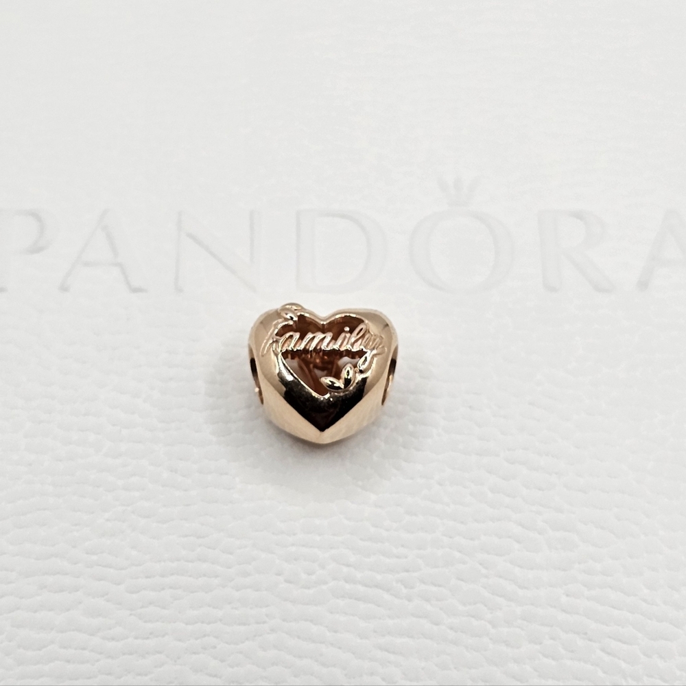 👨👩👧👦 Authentic Pandora ROSE FAMILY CHARM - Picture 6 of 11